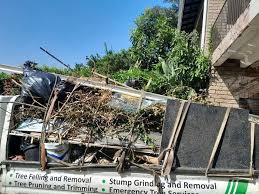 Best Attic Cleanout  in Pine Crest, TN