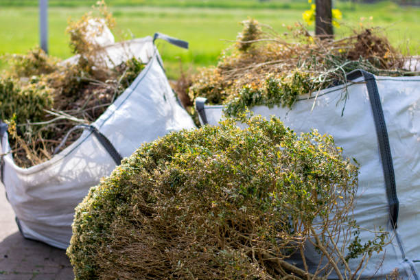 Best Commercial Junk Removal  in Pine Crest, TN