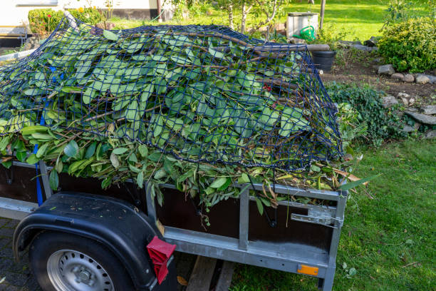 Best Scrap Metal Removal  in Pine Crest, TN